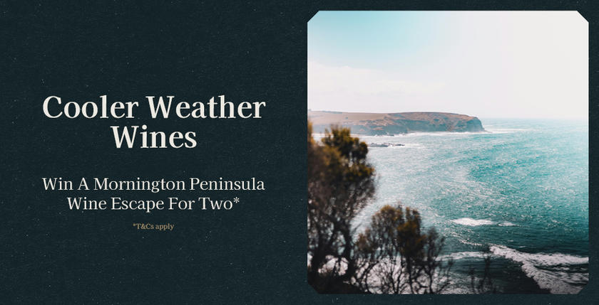 B_B_Cooler_Weather_Wine_-_Landing_Page_-_Mobile - Barrel and Batch