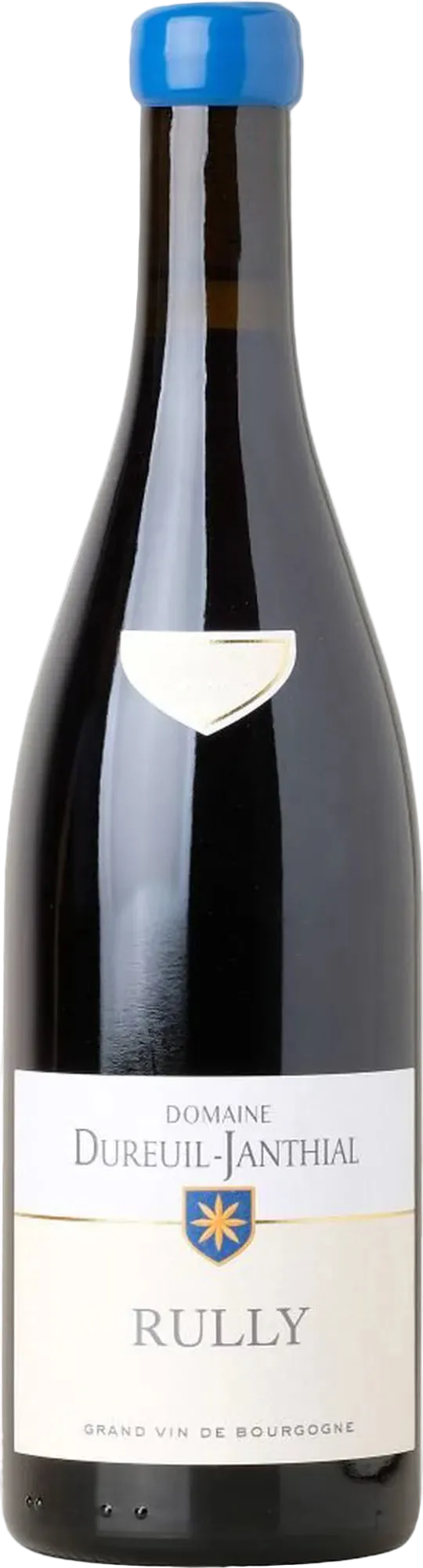 Domaine Dureuil-Janthial Rully 1er Cru Chapitre Rouge 2022 750ml | Barrel & Batch