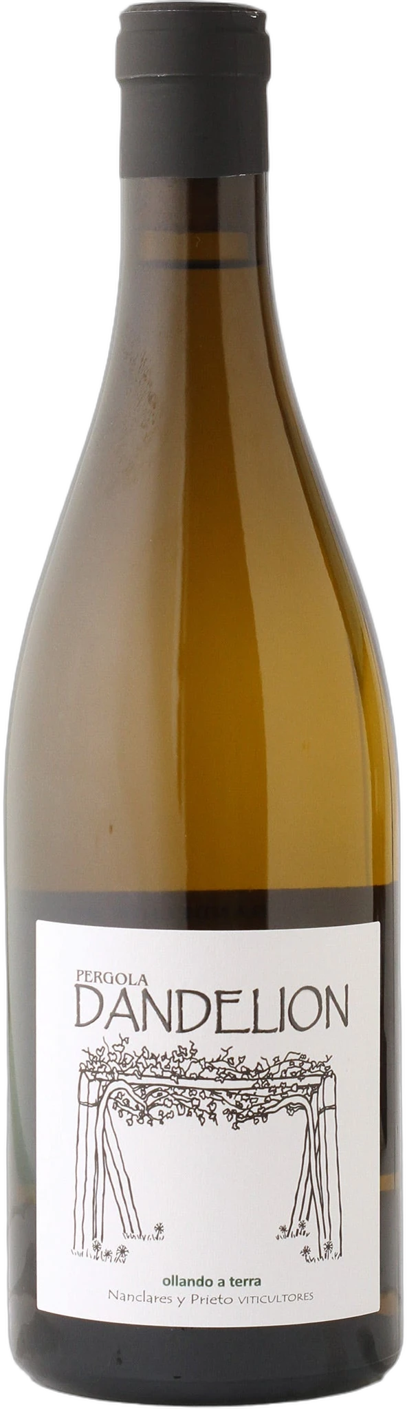 Nanclares y Prieto Dandelion Albariño 2024 750ml | Barrel & Batch