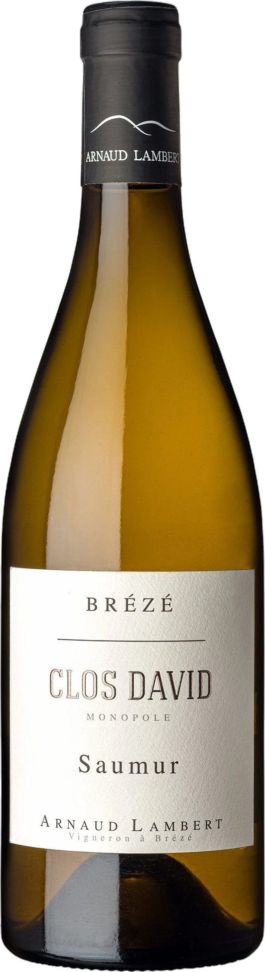 Arnaud Lambert David Saumur Blanc Brézé 2021 750ml | Barrel & Batch