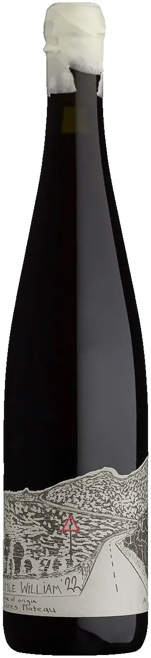 Blank Bottle Little William Syrah 2022 750ml