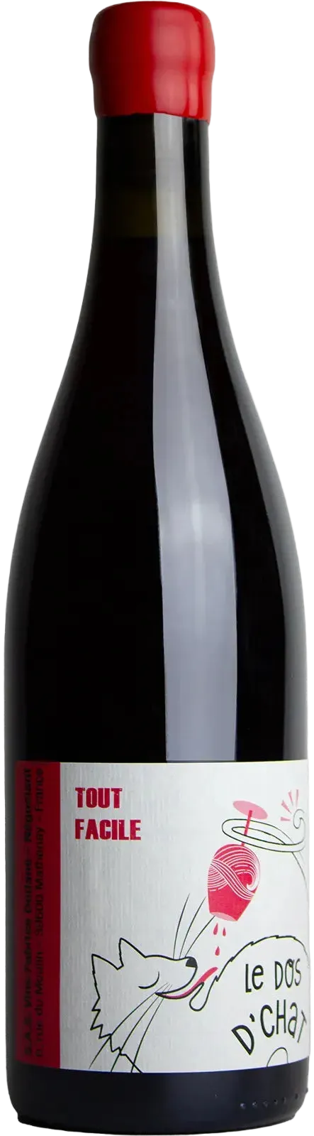 Domaine de Saint-Pierre Fabrice Dodane VDF Tout Facile 2024 750ml | Barrel & Batch