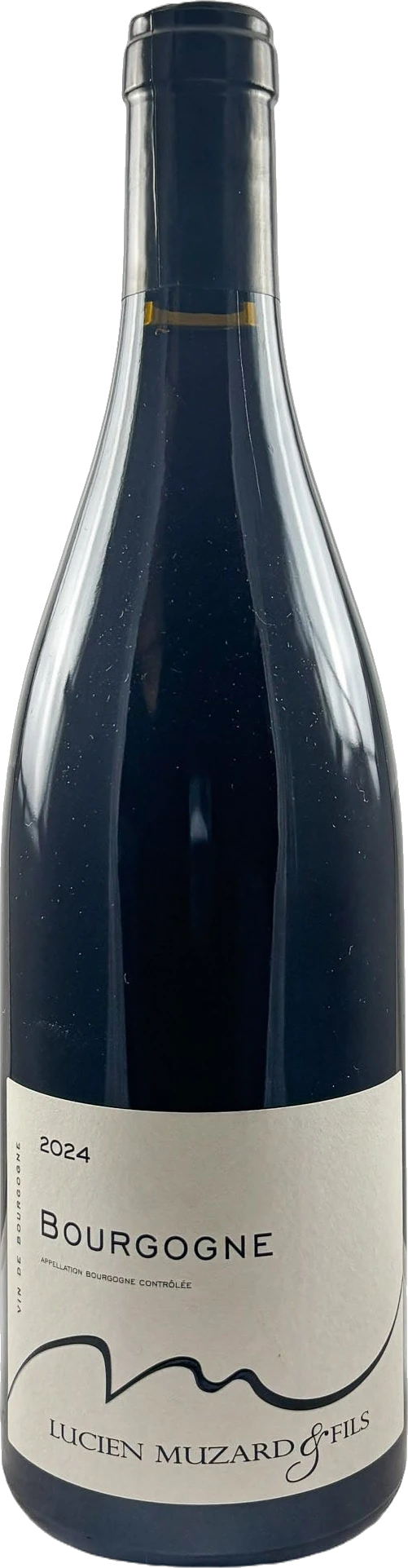 Lucien Muzard Bourgogne Rouge 2024 750ml | Barrel & Batch