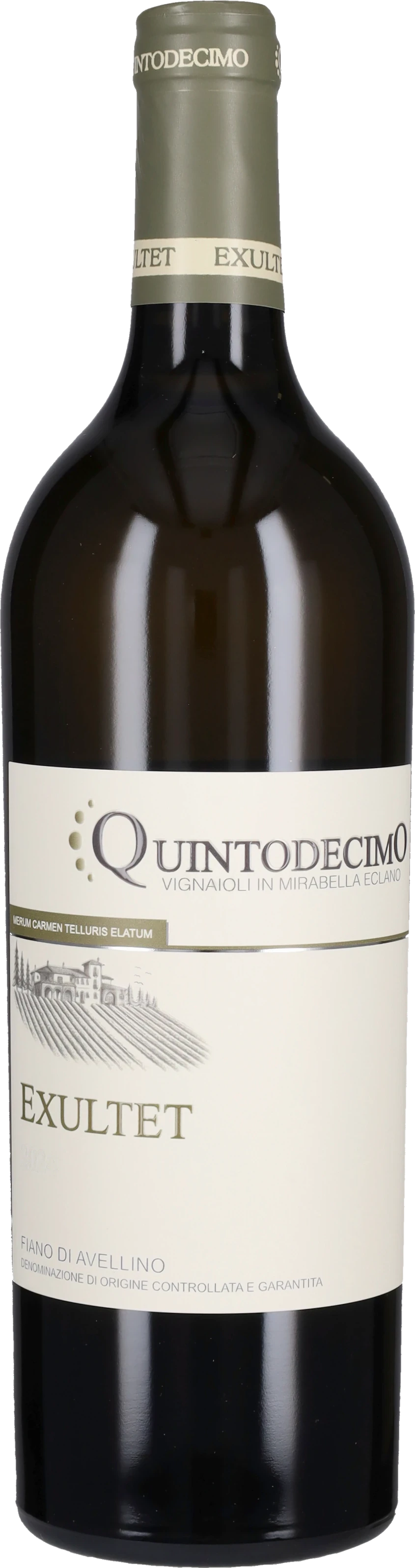 Quintodecimo Fiano di Avellino DOCG 'Exultet' 2025 750ml | Barrel & Batch
