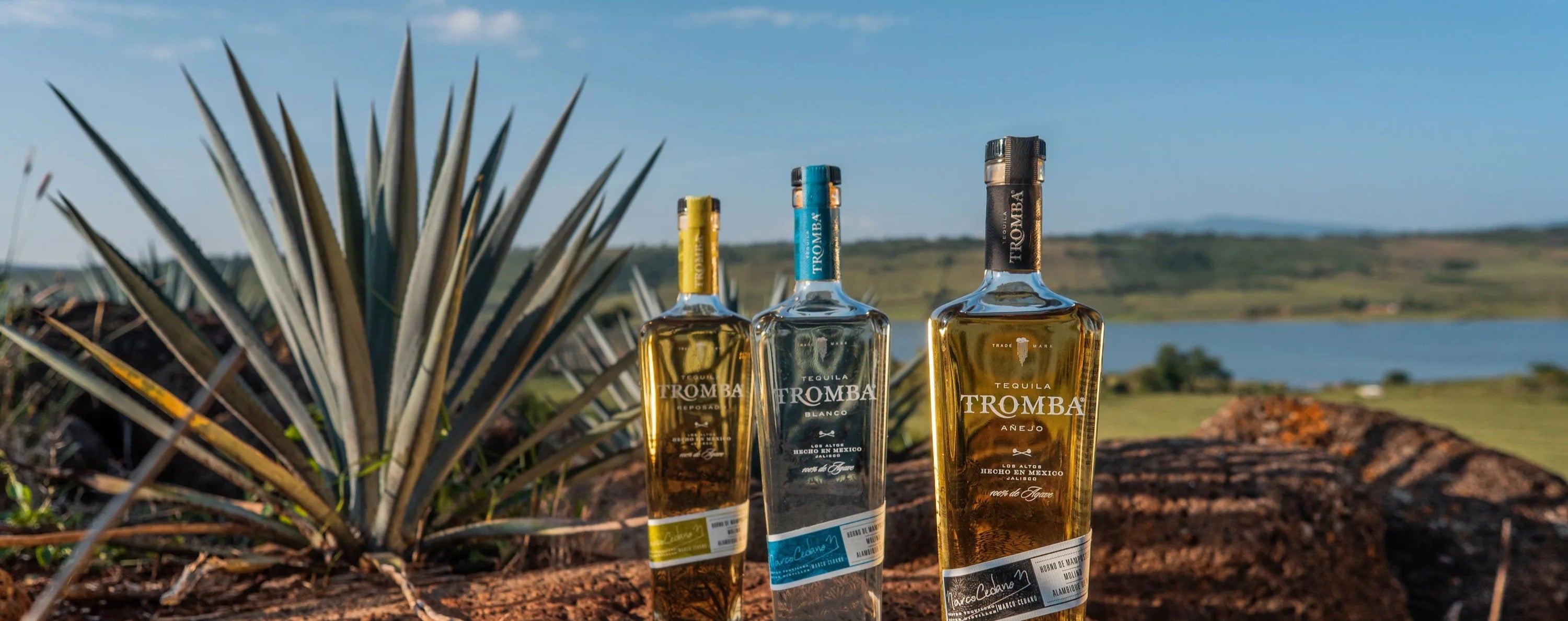 TEQUILA-TROMBA_cc3d1e44-43df-4b5a-97f6-3a173ae04ad3 - Barrel and Batch